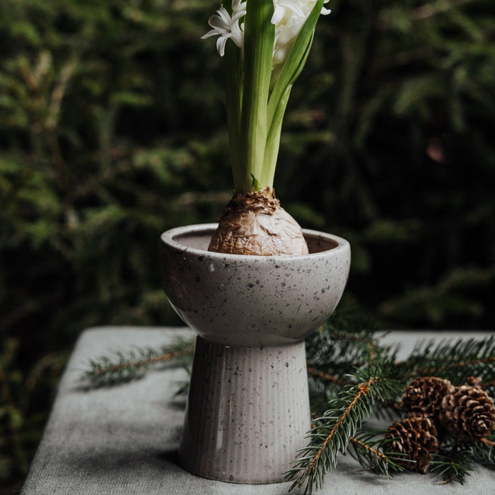 Blumenzwiebel-Vase, Natur