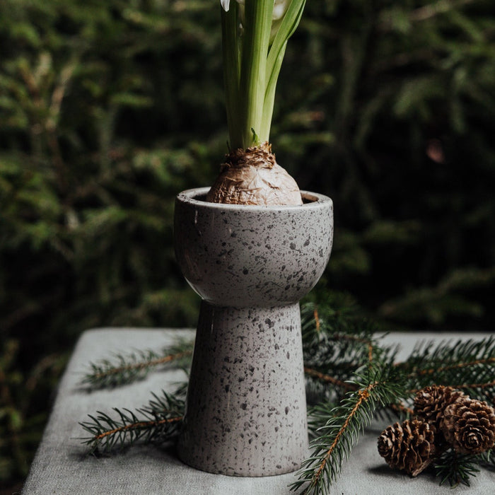 Blumenzwiebel-Vase, Natur